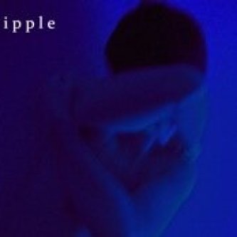 Copertina dell'album The magical tree & the land of plenty, di k i p p l e