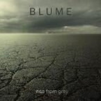 Rise From Grey