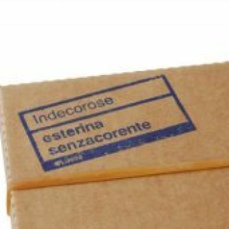 Indecorose