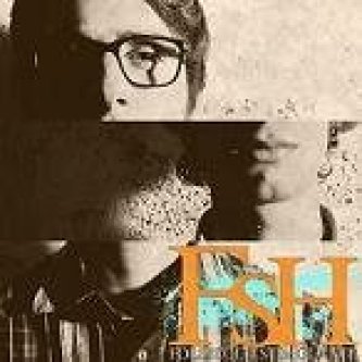 Copertina dell'album FSH FOLLICOLO STIMOLANTE  2010, di FSH Follicolo Stimolante