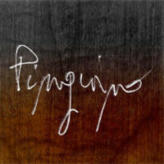 Pinguino