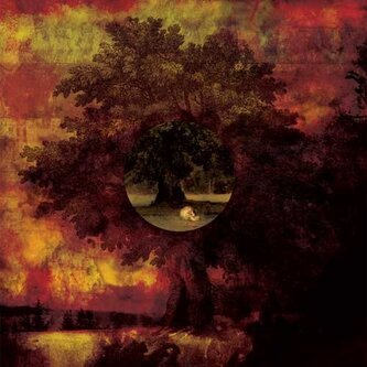 Copertina dell'album A poison tree, di Movie Star Junkies