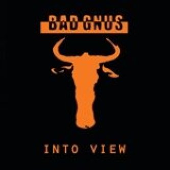 Into View