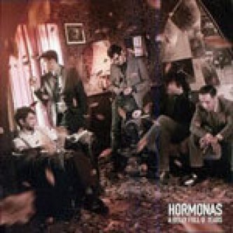 Copertina dell'album a belly full o' tears, di the hormonas
