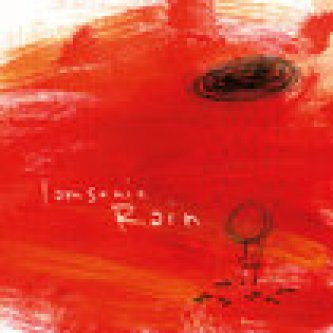 Copertina dell'album It's falling on us, di i am sonic rain
