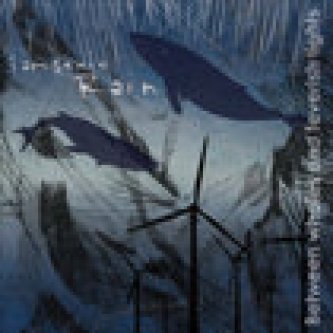 Between whales and feverish lights
