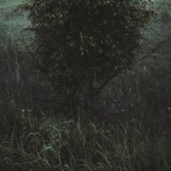 Copertina dell'album Hints, di Lloyd Turner