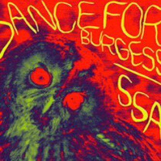 Copertina dell'album SSA, di Dance for burgess