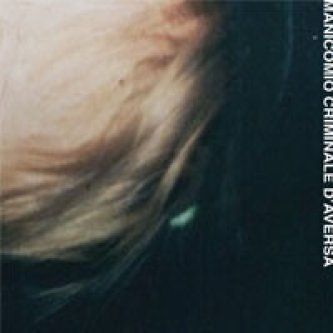 Copertina dell'album Manicomio Criminale d'Aversa Ep, di Valves