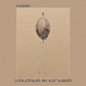 Copertina dell'album Welcome in my mind, di Luko