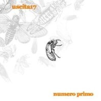 Numero Primo