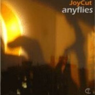 AnyFilies