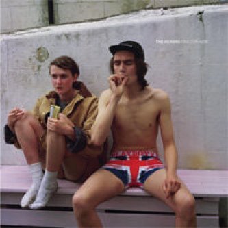 Copertina dell'album Fine For Now, di The Vickers