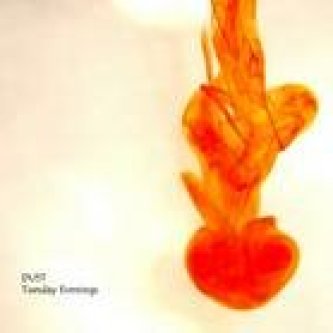 Copertina dell'album Tuesday Evenings, di DUST