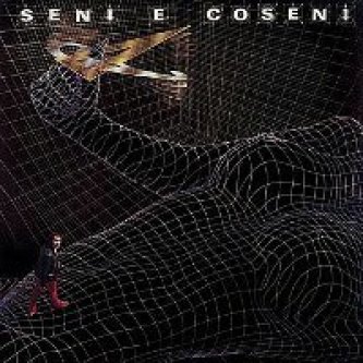 Seni e coseni