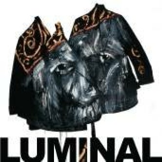 Copertina dell'album Io non credo, di Luminal