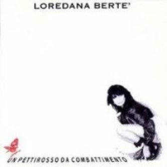 Un pettirosso da combattimento