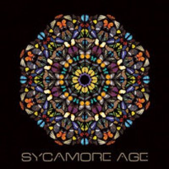 Sycamore Age