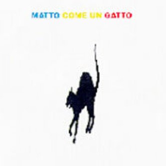 Matto come un gatto