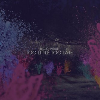 Too Little Too Late
