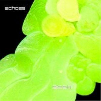 Echoes