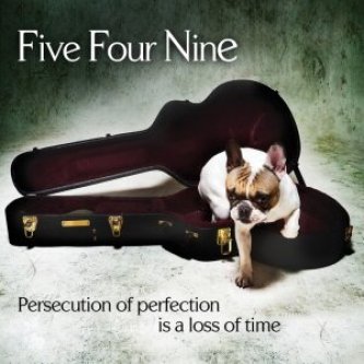 Persecution of Perfection is a Loss of Time