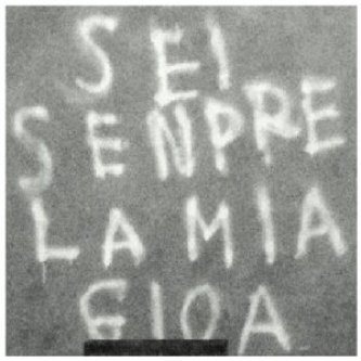 sei sempre la mia gioia