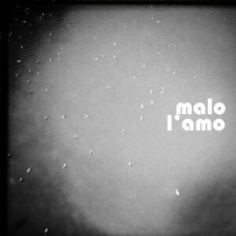 l'amo