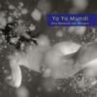 Copertina dell'album Alla bellezza dei margini, di Yo Yo Mundi