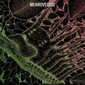 Menrovescio Vs Berlikete Split