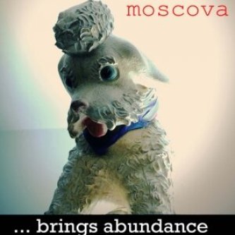 Brings Abundance
