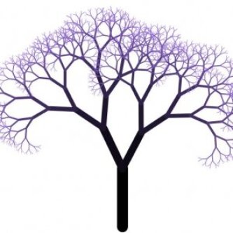 Copertina dell'album vol.24 - balmorra, di magico tree