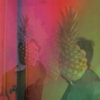 Copertina dell'album Stressed Desserts Blues, di Vernon Sélavy