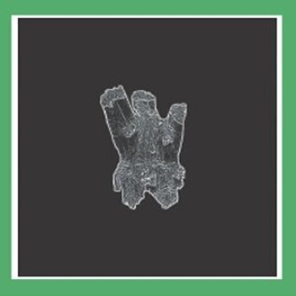 S/t