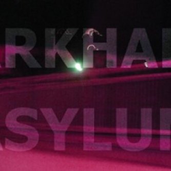 Copertina dell'album il manicomio di arkham, di il manicomio di arkham