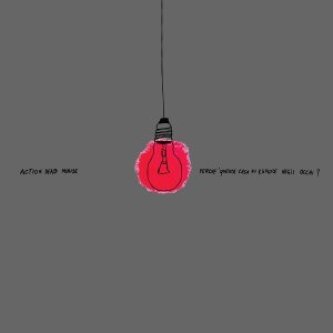 Copertina dell'album Perchè questa casa ci esplode negli occhi?, di Action Dead Mouse