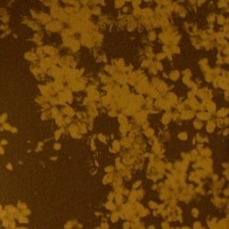 Sideline/Distills a Grain of Lover's Soul