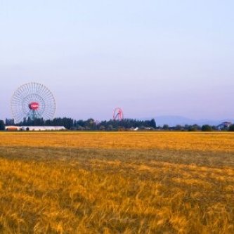 Tempi