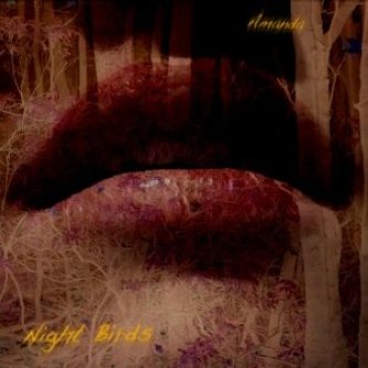 Amanda - Night Birds