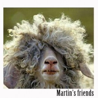 Martin's friends