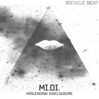 Misleading Disclosure