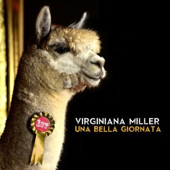 Una bella giornata