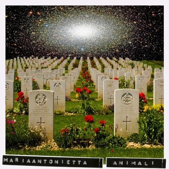 Copertina dell'album Animali (Singolo), di Maria Antonietta