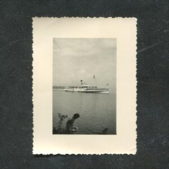 Viandanti