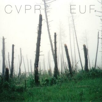 C V P R (ci vuole più rumore)