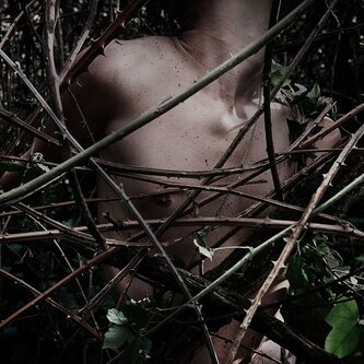 Copertina dell'album Canzoni contro la natura, di The Zen Circus
