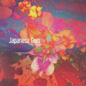 Copertina dell'album High dreams, di Japanese Gum
