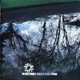 Copertina dell'album Mentre fuori piove, di Africa Unite