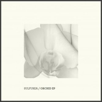 Orchid EP