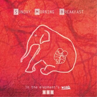 In The Elephant's Womb